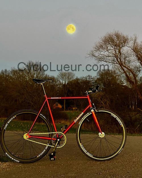 Schwinn Madison fiche technique et avis